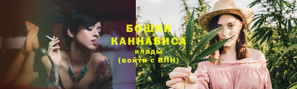 a pvp Богданович