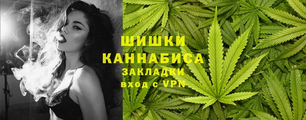 эйфоретик Бородино