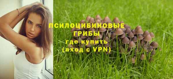a pvp Богданович