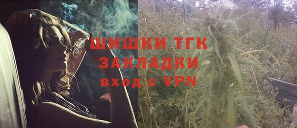 сатива Богородицк