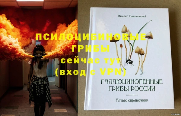 2c-b Бугульма