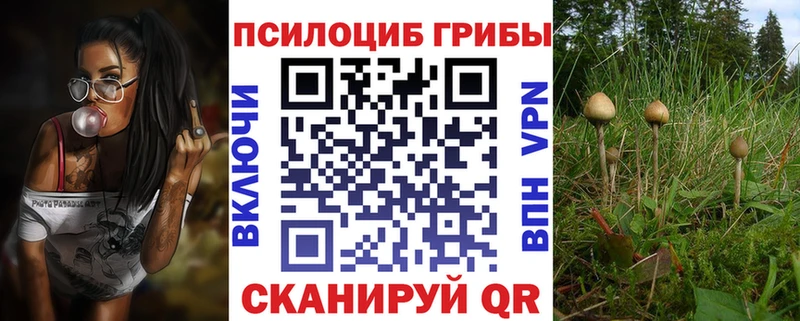 Псилоцибиновые грибы прущие грибы  Высоцк 