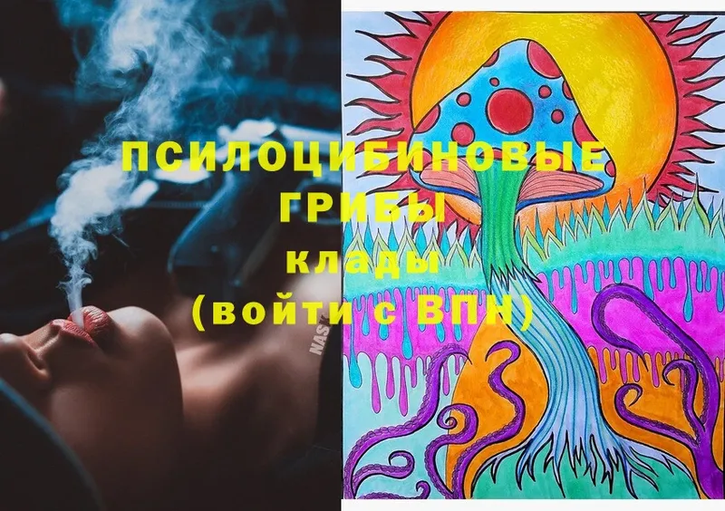 Псилоцибиновые грибы Cubensis  купить наркоту  Высоцк 